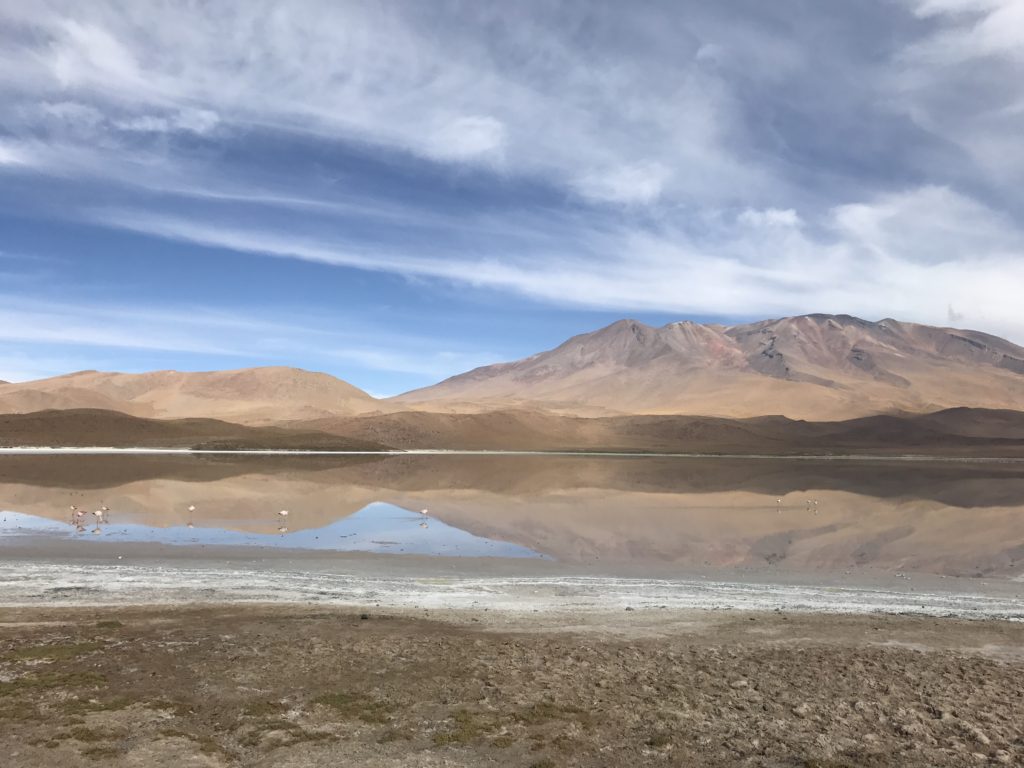Lagunda Hedionda. De carro para o Salar do Uyuni e Atacama