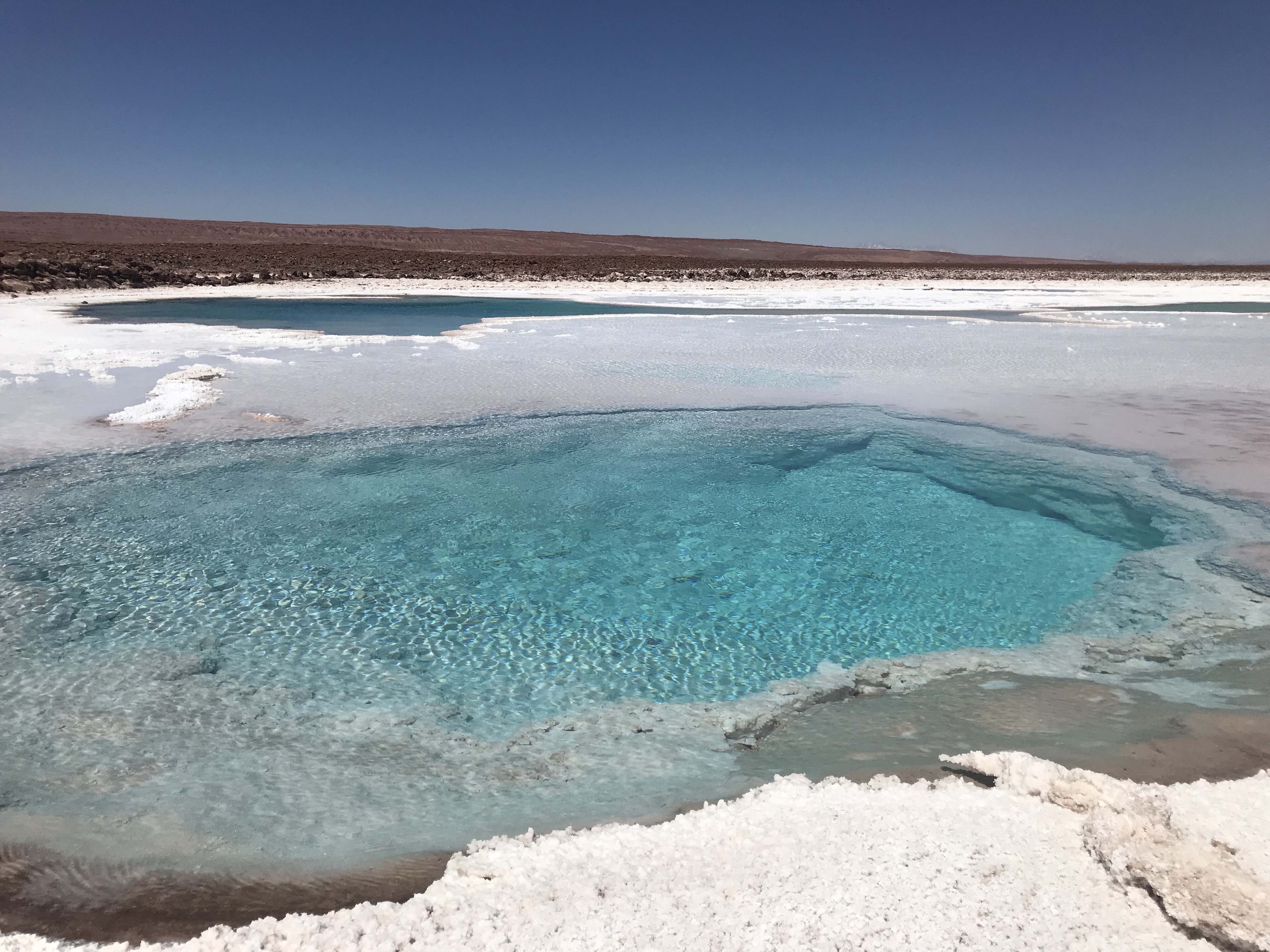 Lagunas escondidas de Baltinache – Atacama