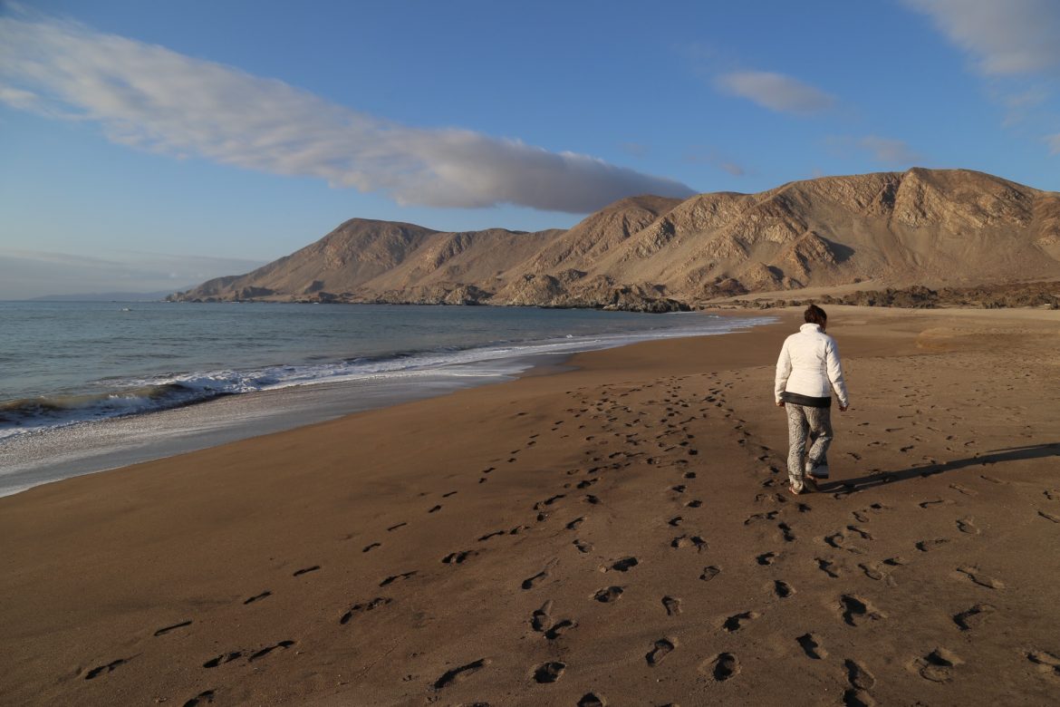 Caleta Pan de Azúcar no Parque Nacional Pan de Azúcar