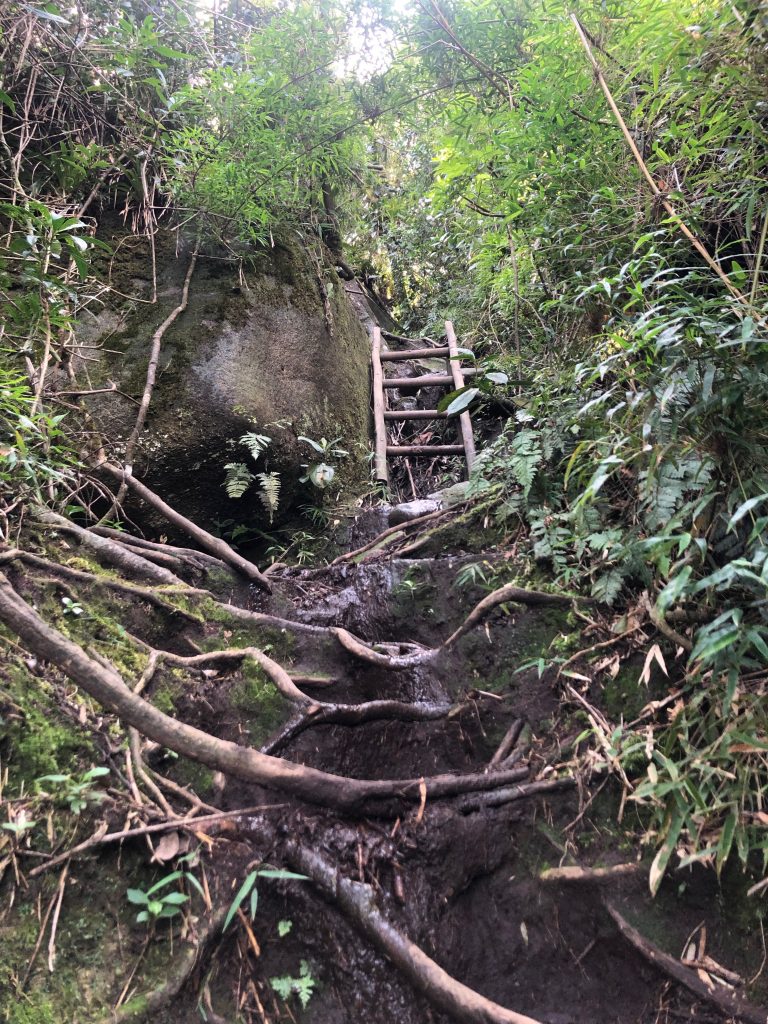 escadas do trilha