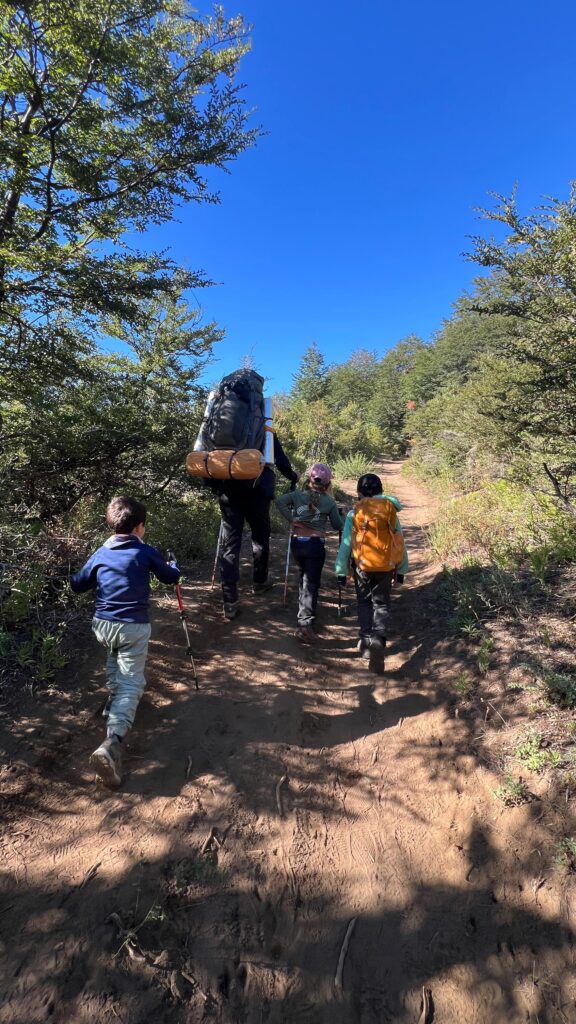 Grupo caminhando em trilha de floresta com mochilas de trekking